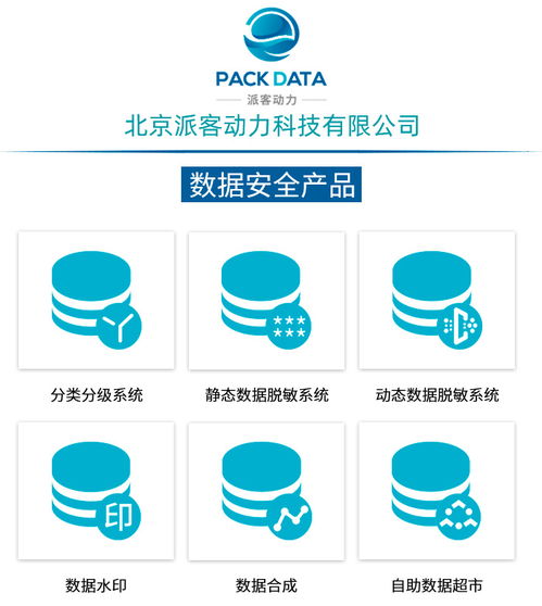 數據治理咨詢服務 北京派客動力公司的軟件開發賦能之道