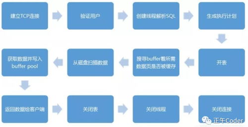 探秘MySQL邏輯架構 軟件開發中的數據庫基石