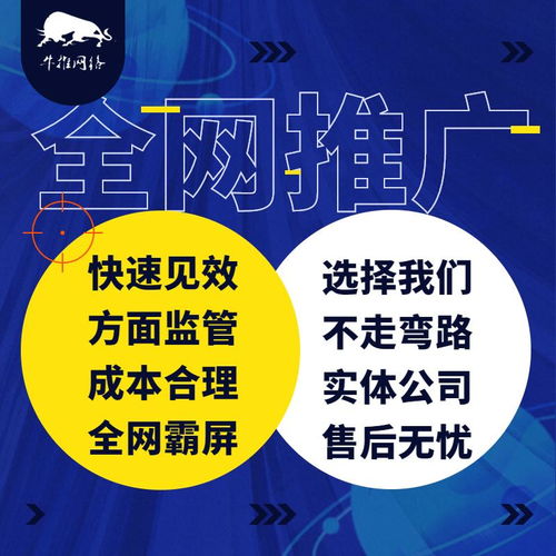 精誠所至，金石為開 上海牛推信息推廣公司網絡技術開發之路
