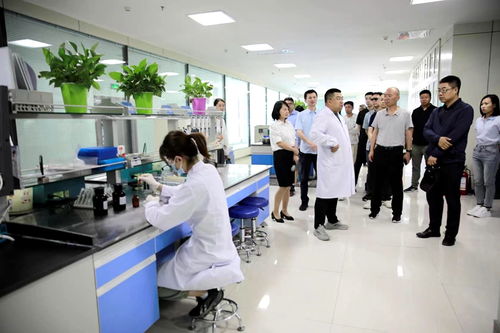 臨澤縣人民政府 知國(guó)情 話自信 海歸系列懇談會(huì)成員在臨澤縣考察