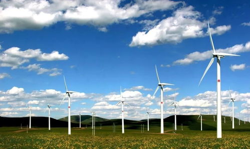 日本留學(xué)薪資最高的8大專業(yè)匯總 前景無限的技術(shù)服務(wù)領(lǐng)域